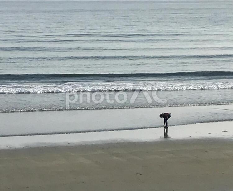 海岸で何かを拾う女性 サーフ,何人もありません,冬の写真素材