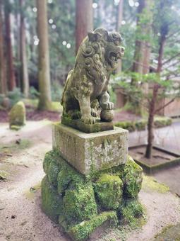 狛犬 狛犬 室生龍穴神社,本殿,神社の写真素材