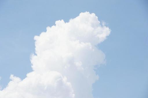 夏の雲 夏の雲の写真