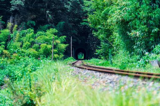 電車のいない線路 電車のいない線路の写真