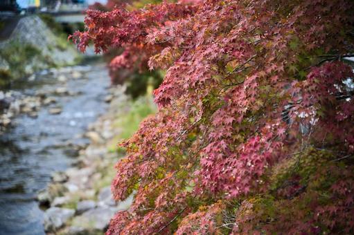 晩秋の室生寺の写真
