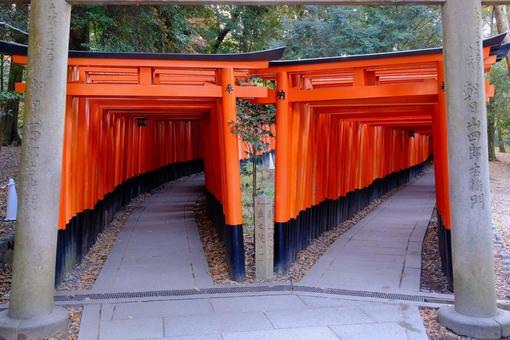 伏見稲荷 伏見稲荷 伏見稲荷,神社,京都の写真素材