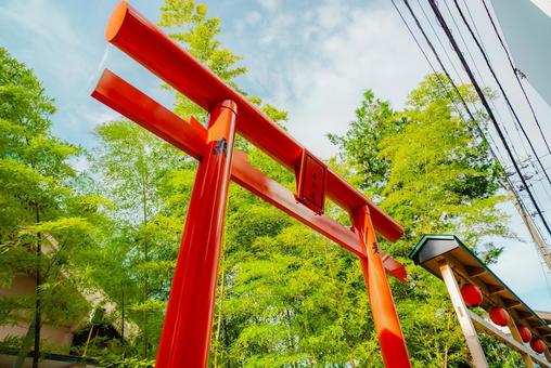 Photo, aomori, 2025, townscape, 