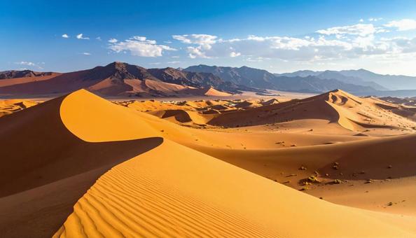 美しい砂丘と青い空が広がる砂漠の写真