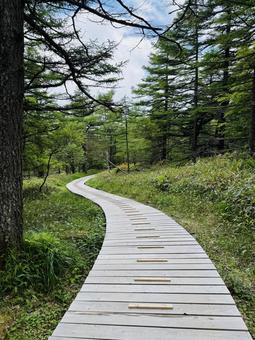 Photo, scattered road, a walk, walk, 