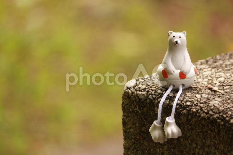 シロクマさん休憩 シロクマ,夏,浮き輪の写真素材