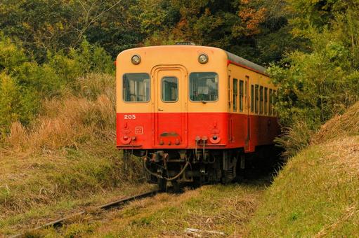 小湊鐵道 小湊鐵道,紅葉,秋の写真素材