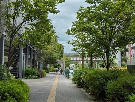 玉川高島屋前の歩道 玉川高島屋前の歩道の写真