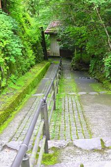 坂道 坂道 坂道,手摺,日光の写真素材