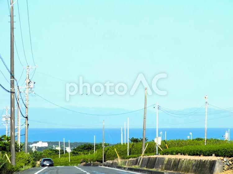 お茶畑の向こうに広がる駿河湾の水平線 駿河湾,海,水平線の写真素材