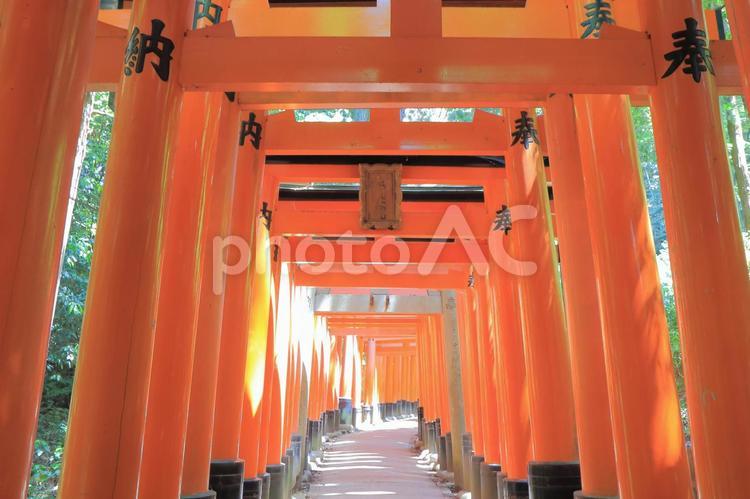 京都　伏見稲荷大社 伏見稲荷,大社,京都の写真素材
