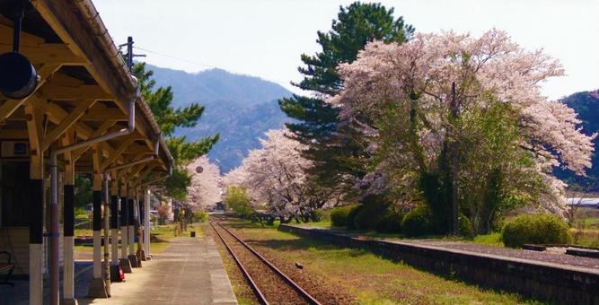 廃線 春列車2 廃線 春列車2の写真