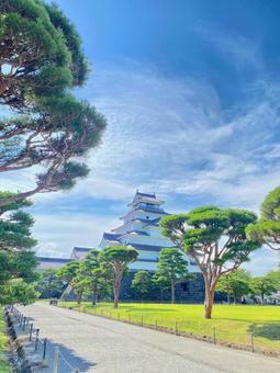 鶴ヶ城 鶴ヶ城,会津若松,会津鶴ヶ城の写真素材