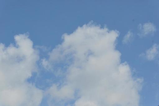 爽やかな青空 40 爽やかな青空 40の写真