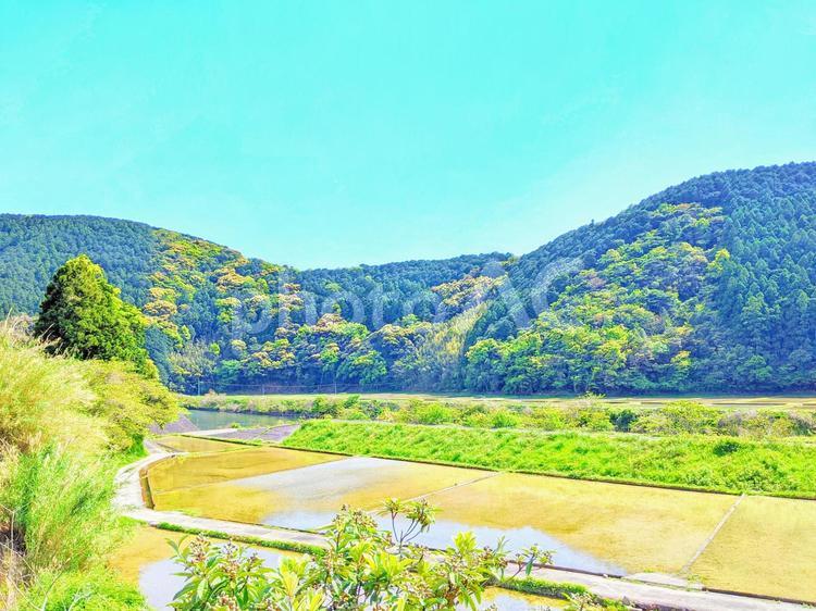春の田園風景 風景,田園,新緑の写真素材