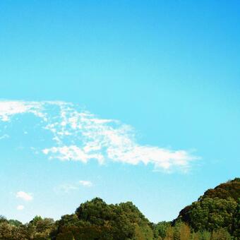 川雲 川雲の写真