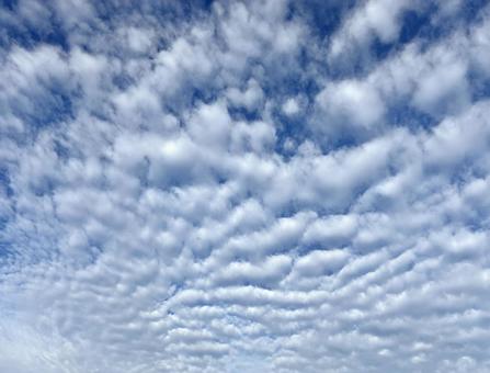 秋の空 うろこ雲 秋の空 うろこ雲の写真
