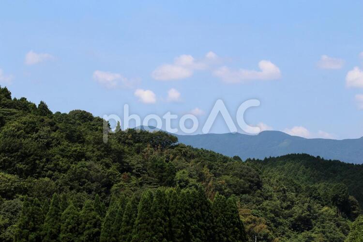 森林と青空2 森林,木,青空の写真素材