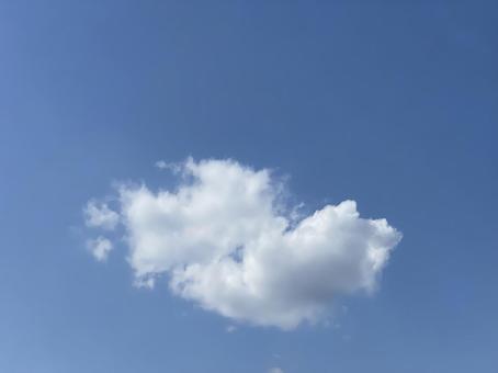神田川5月:初夏の浮雲 2025/5/5 神田川5月:初夏の浮雲 2025/5/5の写真