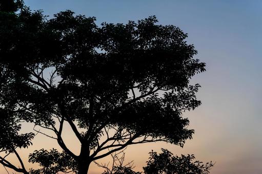 Setting Sun, JPG