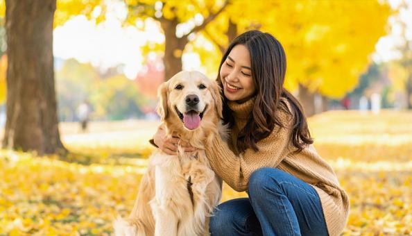 イチョウ並木の女性とゴールデンレトリバー イチョウ並木の女性とゴールデンレトリバーの写真