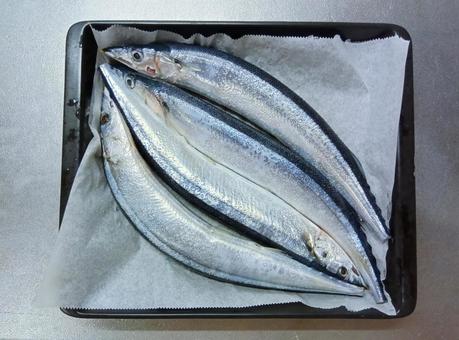 焼く前のさんま 焼く前のさんま さんま,サンマ,秋刀魚の写真素材