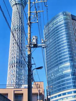 十二月の東京スカイツリー-9 十二月,冬,東京スカイツリーの写真素材