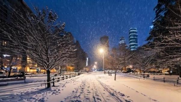 大雪 大雪の写真