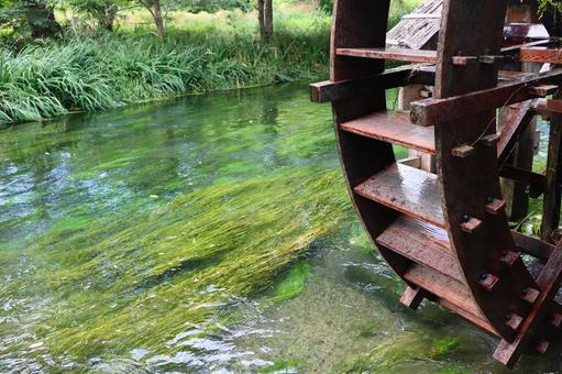 River surface, water plants, waterwheel, JPG River surface, water plants, waterwheel, JPG