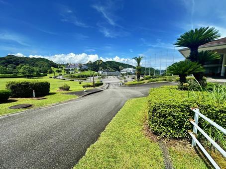 公園 夏の風景 公園 夏の風景の写真
