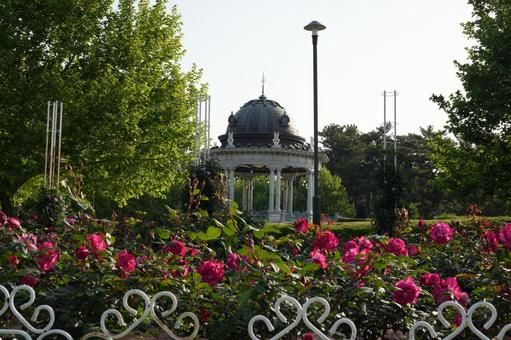 Rose Garden, JPG Rose Garden, JPG