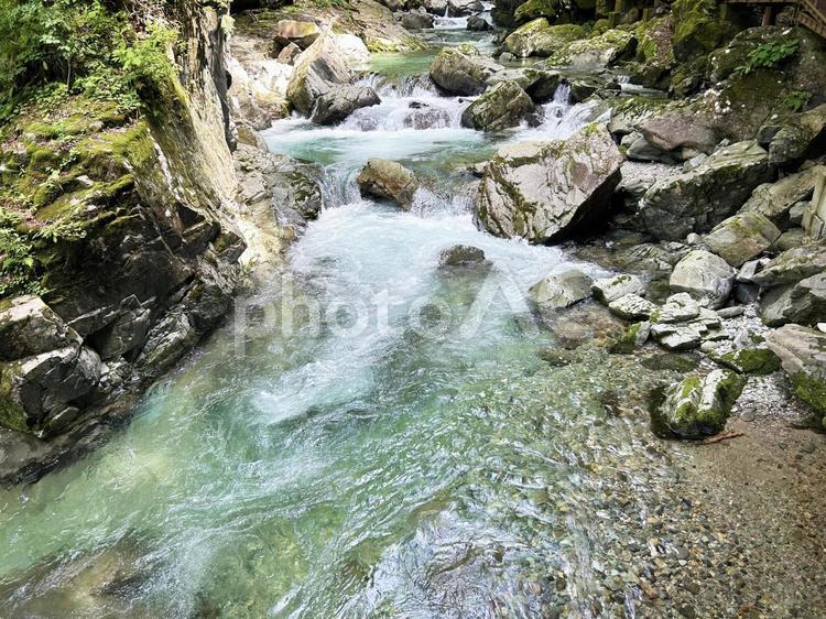 美しい渓流 渓流,新緑,川の写真素材
