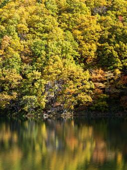秋の長老湖⑿の写真