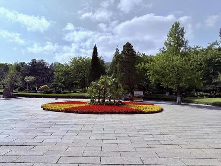 錦江山公園の広場の写真