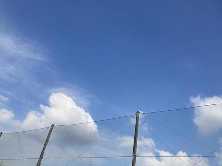 ネットフェンスと青空 ネットフェンスと青空 ネットフェンス,青空,風景の写真素材