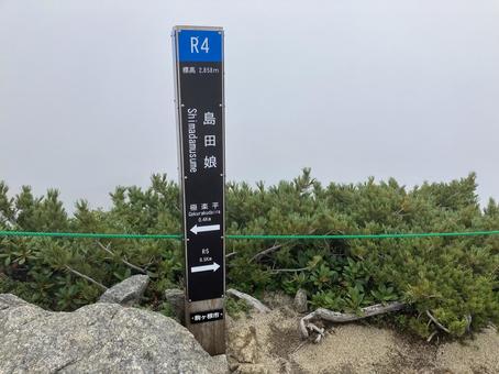島田娘 看板 島田娘 看板の写真