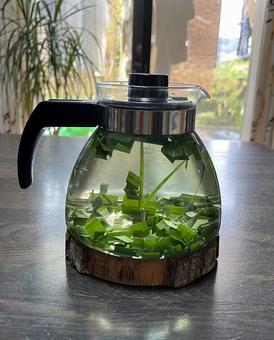 レモングラスティー レモングラスティー レモングラス,ティー,お茶の写真素材