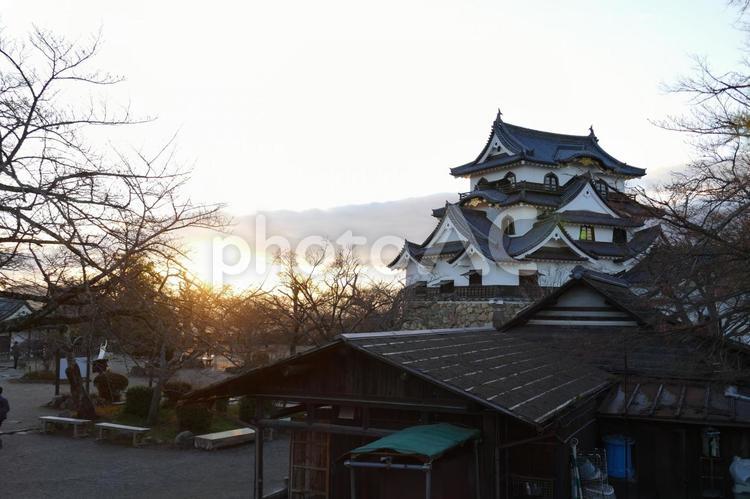 彦根城　滋賀県 彦根城,城,戦国時代の写真素材