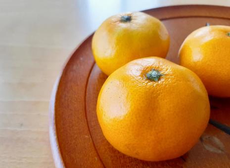 テーブルに並んだミカン みかん,柑橘類,果物の写真素材