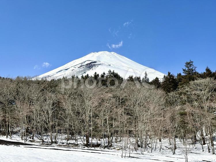 富士山と雪の冬景色 富士山,自然,風景の写真素材