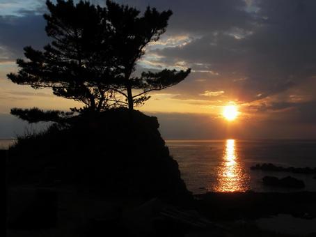 海に落ちる太陽 海に落ちる太陽 夕陽,シルエット,松の写真素材