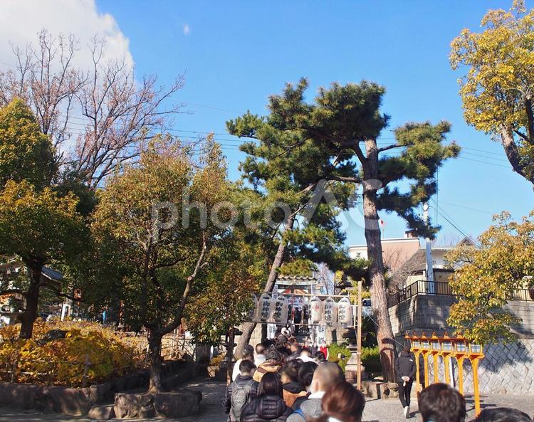 初詣風景　2023年　令和5年 初詣,神社,卯年の写真素材