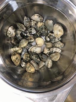 Clams without salt Clams without salt