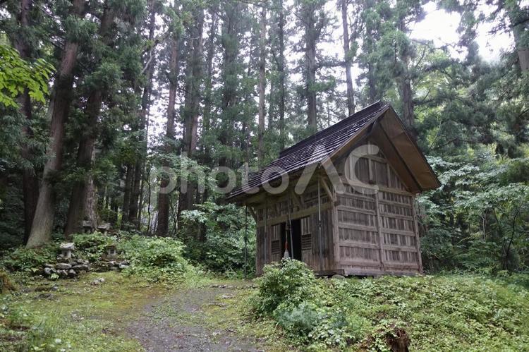 山の中の小さな祠（ほこら） トレッキング,ハイキング,林道の写真素材
