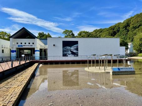相模川ふれあい科学館 相模川ふれあい科学館,アクアリウム相模原,水族館の写真素材
