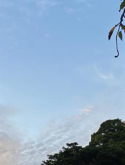 秋空と木　Part1２ 秋空,あきぞら,秋の写真素材