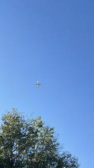 Photo, summer sky, blue sky, blue, 