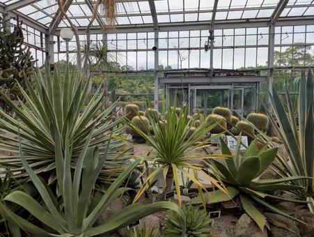 植物公園のサボテンハウス 植物公園のサボテンハウスの写真
