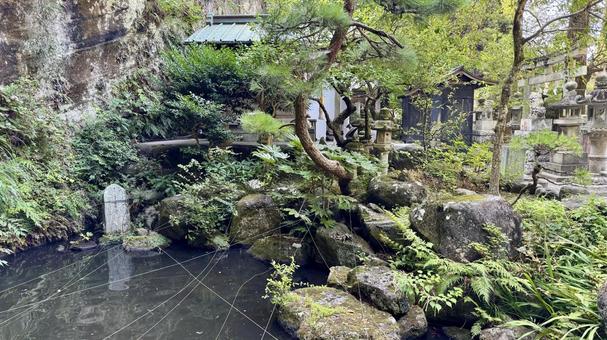 池 池 銭洗弁財天,宇賀福神社,池の写真素材