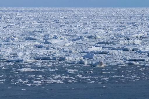 流氷が漂うオホーツク海 流氷が漂うオホーツク海の写真